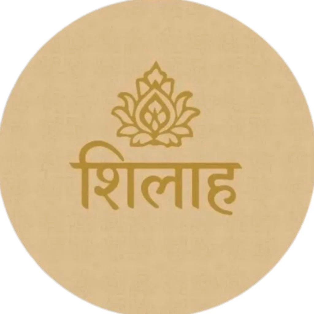 Shilah brand logo, client of Aceashar, digital marketing agency in Kerala, India